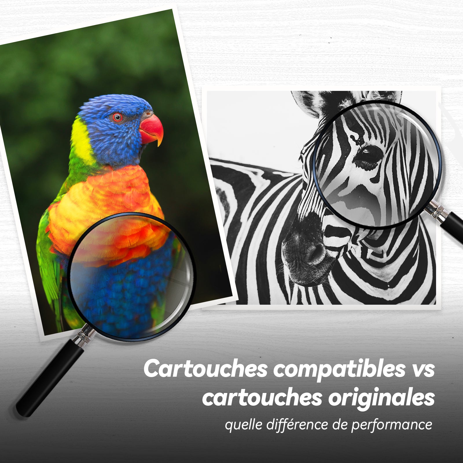 Cartouches compatibles vs cartouches originales : Quelle différence de performance ?